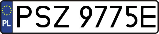 PSZ9775E