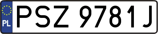 PSZ9781J