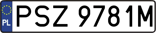 PSZ9781M