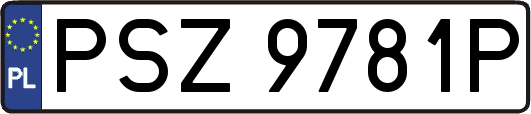 PSZ9781P