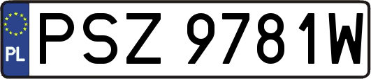 PSZ9781W