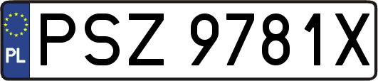 PSZ9781X