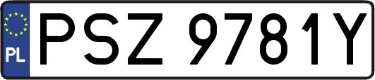 PSZ9781Y