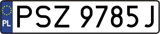 PSZ9785J