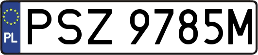 PSZ9785M