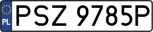 PSZ9785P