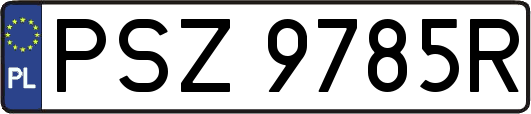 PSZ9785R