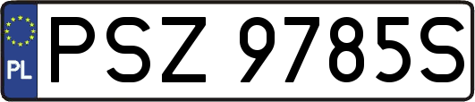 PSZ9785S