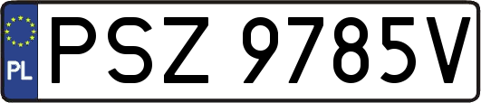 PSZ9785V