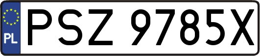 PSZ9785X
