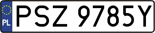 PSZ9785Y