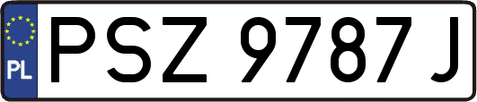 PSZ9787J