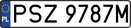 PSZ9787M