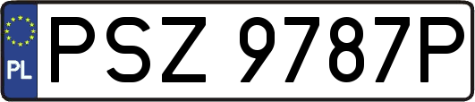 PSZ9787P
