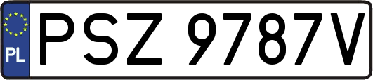 PSZ9787V