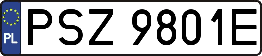 PSZ9801E