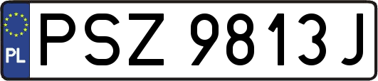 PSZ9813J