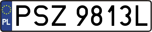PSZ9813L