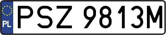 PSZ9813M