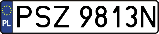 PSZ9813N