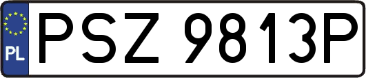 PSZ9813P