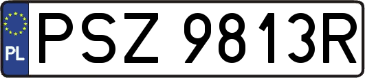 PSZ9813R