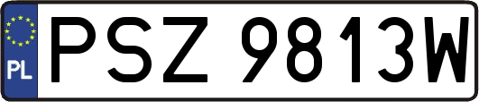 PSZ9813W