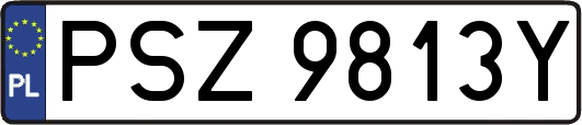 PSZ9813Y