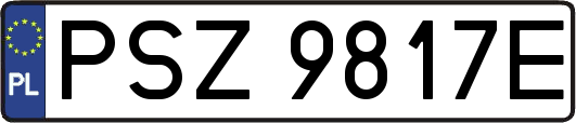 PSZ9817E