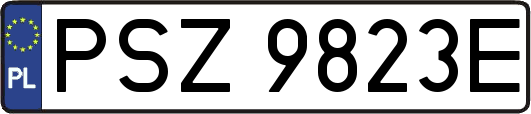 PSZ9823E