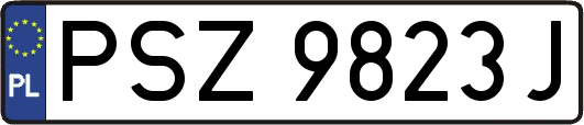 PSZ9823J