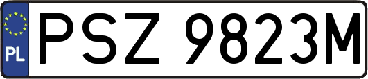 PSZ9823M