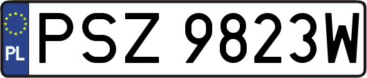 PSZ9823W