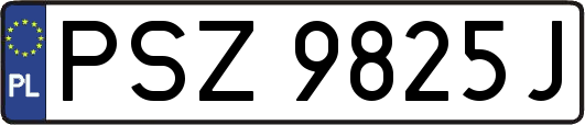 PSZ9825J