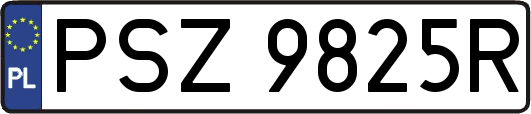 PSZ9825R