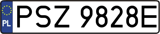 PSZ9828E