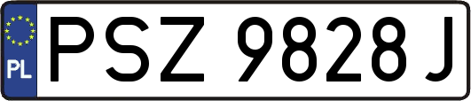 PSZ9828J
