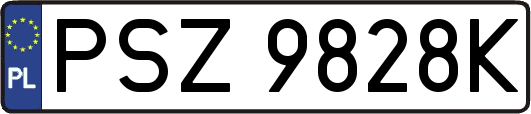 PSZ9828K