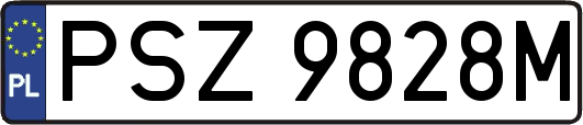 PSZ9828M