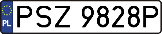 PSZ9828P