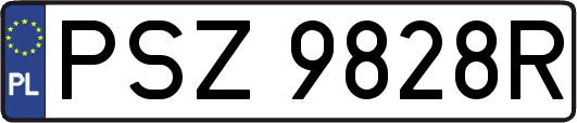 PSZ9828R