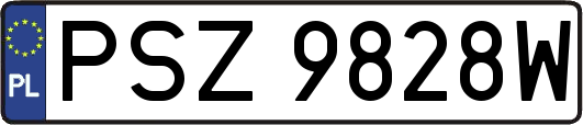 PSZ9828W