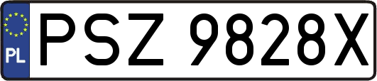 PSZ9828X
