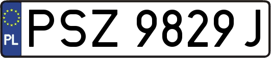 PSZ9829J