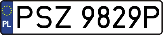 PSZ9829P