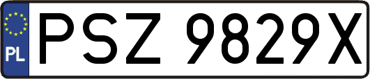 PSZ9829X