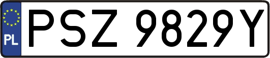 PSZ9829Y