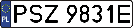 PSZ9831E