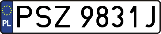 PSZ9831J