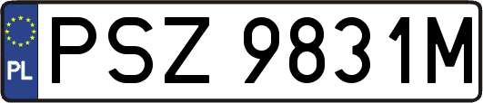 PSZ9831M